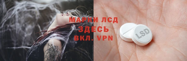 ГАЛЛЮЦИНОГЕННЫЕ ГРИБЫ Арсеньев