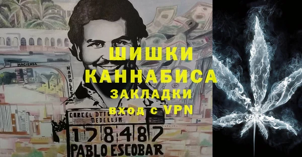 ГАЛЛЮЦИНОГЕННЫЕ ГРИБЫ Арсеньев