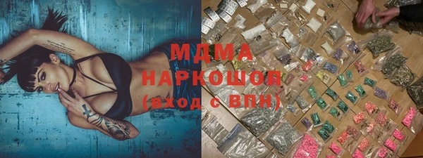 сатива Аркадак
