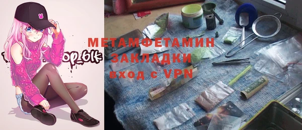 сатива Аркадак
