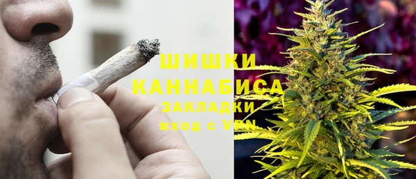 ГАЛЛЮЦИНОГЕННЫЕ ГРИБЫ Арсеньев
